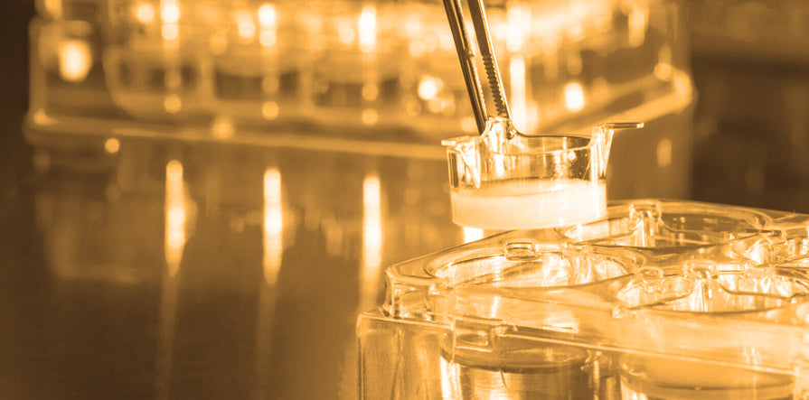 The Science of Skin Longevity: Why Layering Matters and How to Do It Right with Plantkos®