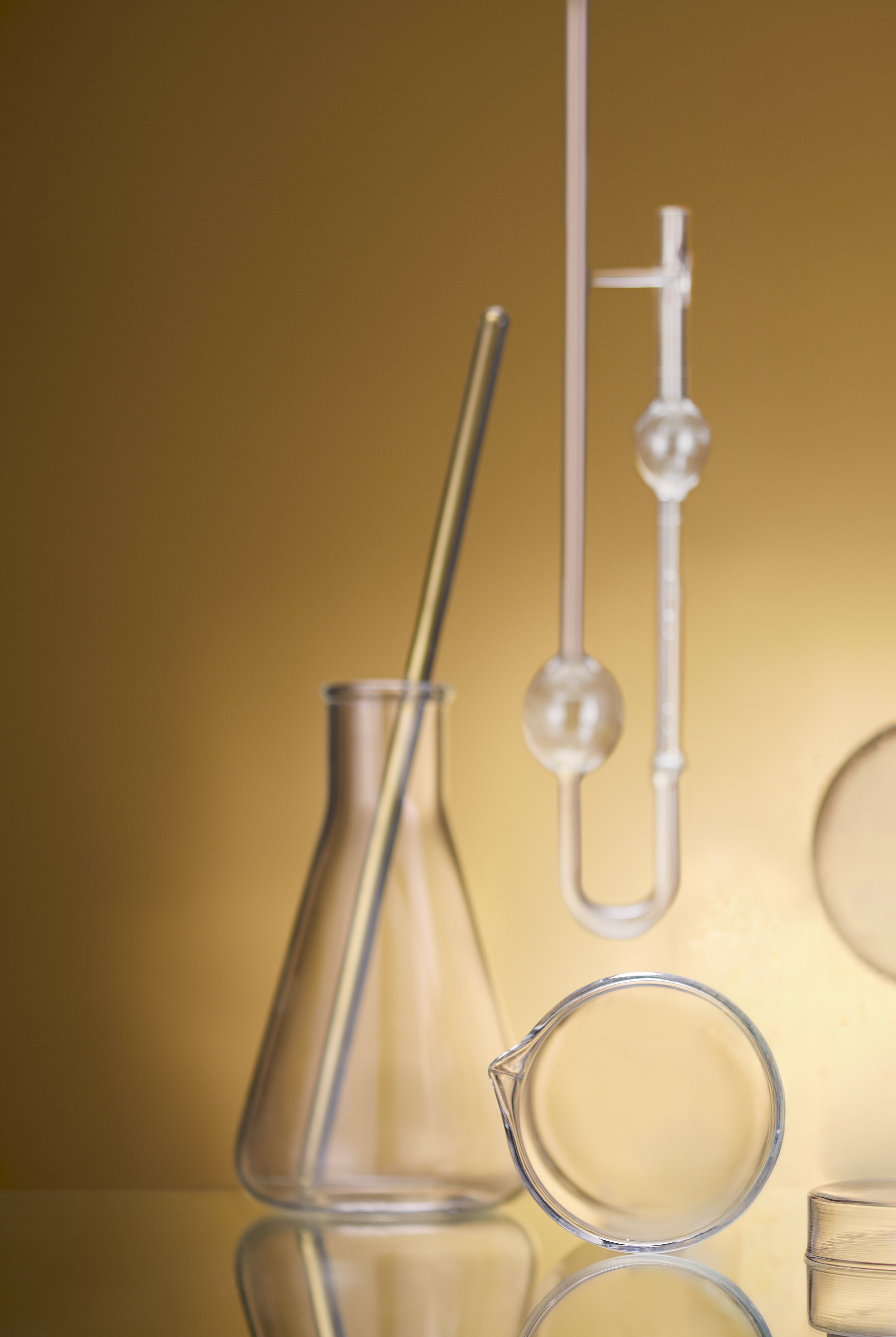 Sustainable Skincare, Powered by Science: Inside Plantkos’ Clean Clinical Ethos