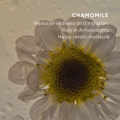 Replenishing Essence Mini