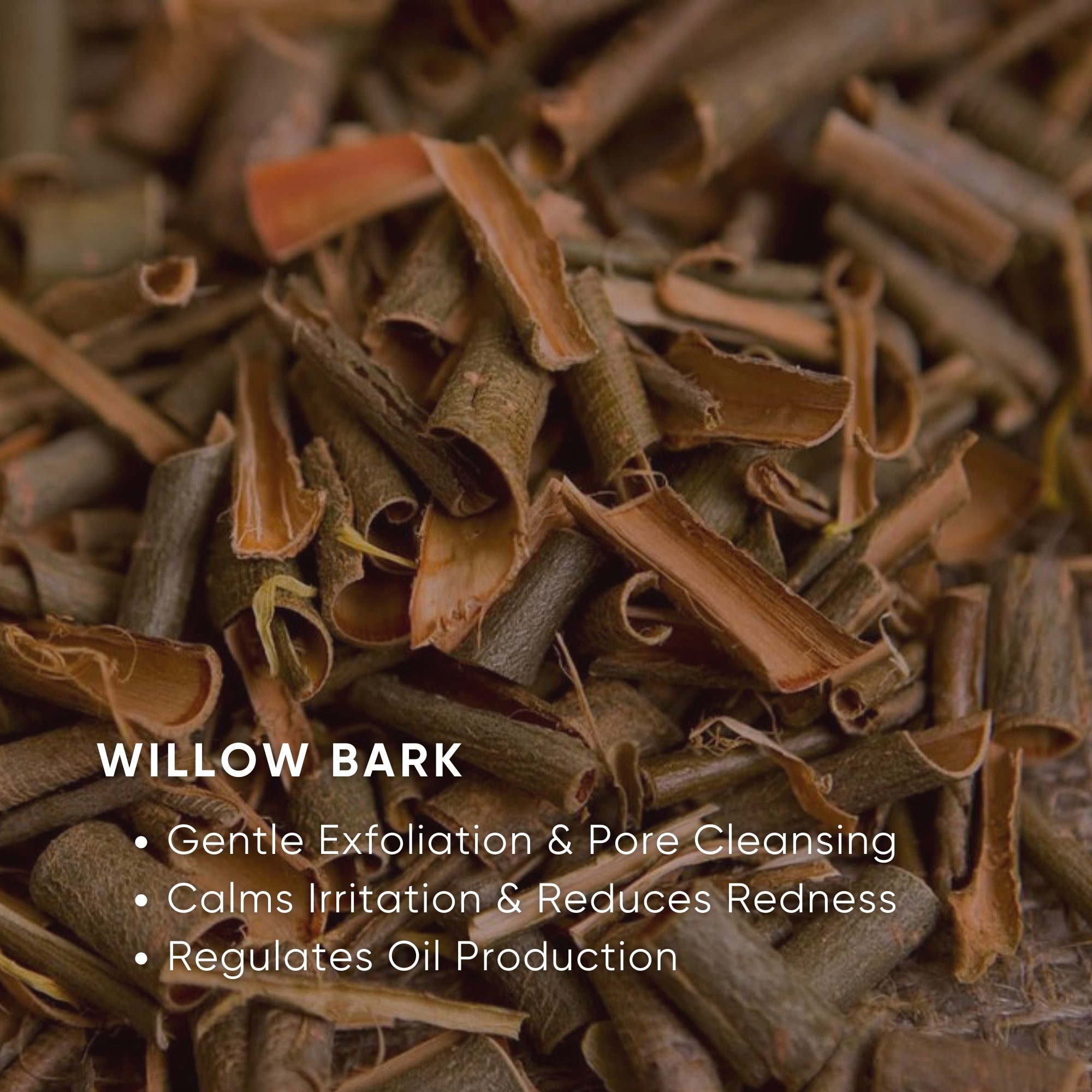 Gentle Exfoliating Gel Cleanser