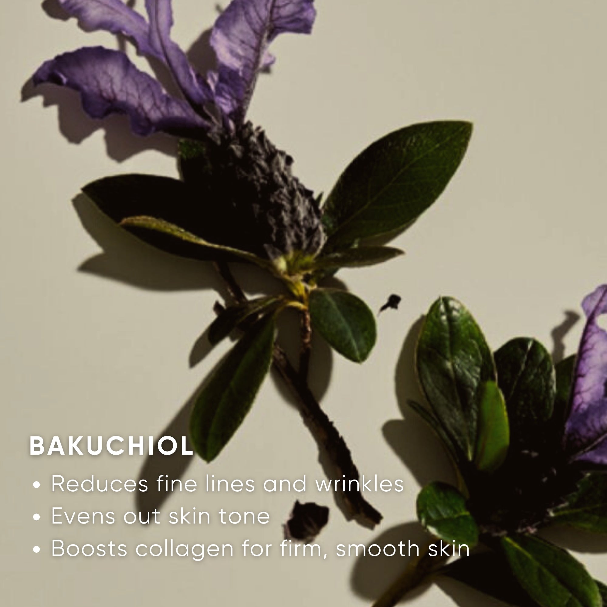 Revitalizing Eye Cream