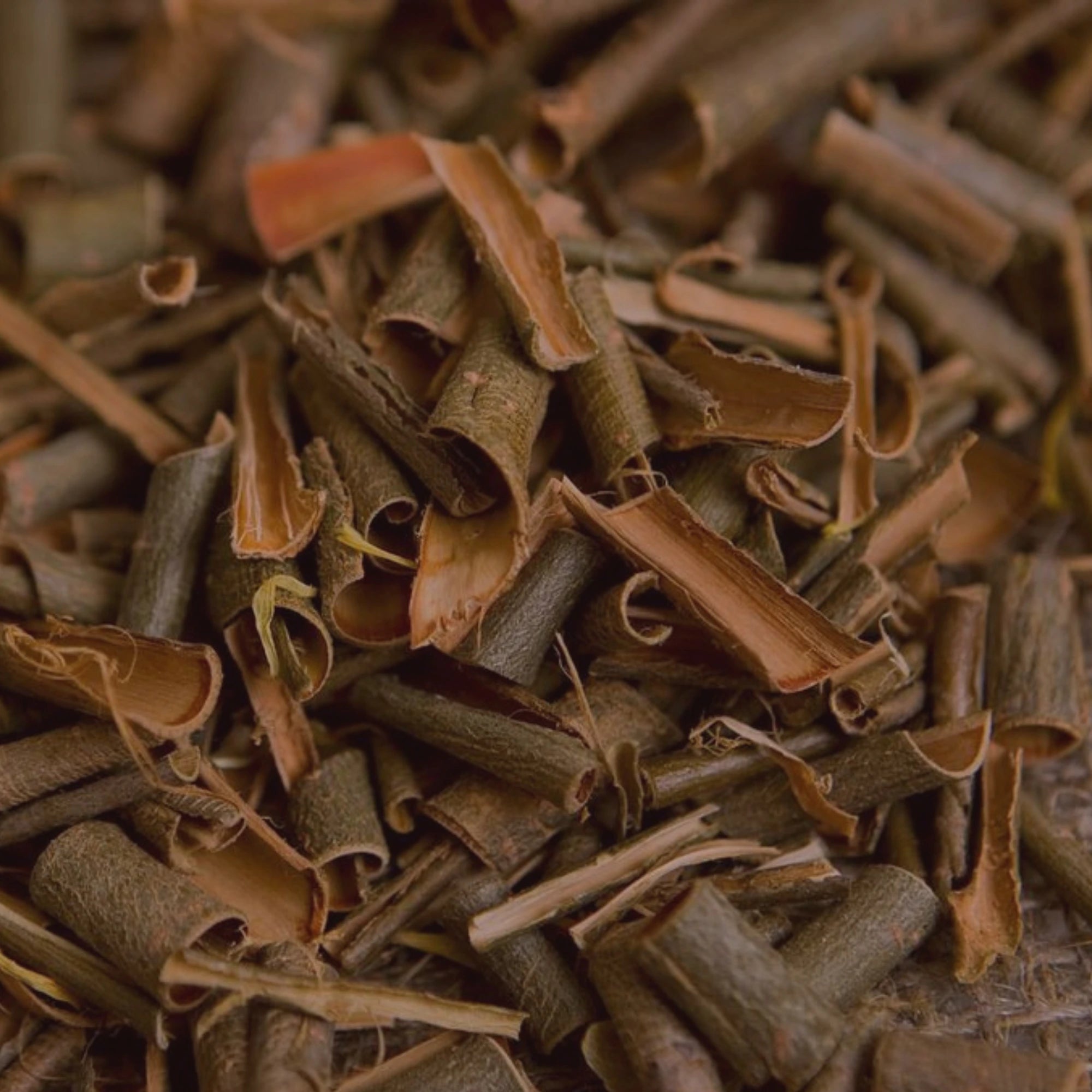 WILLOW BARK