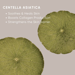 Hydrating Moisturizer