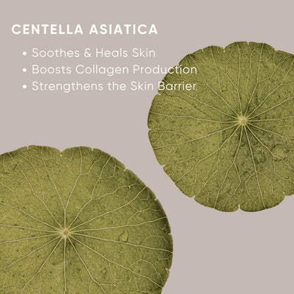 Hydrating Moisturizer