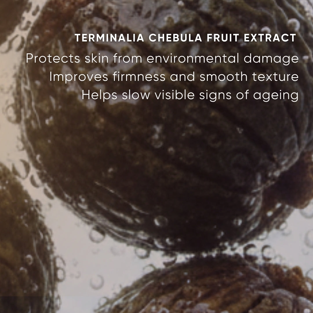 Terminalia chebula fruit extract with text highlighting its benefits on a clear background
